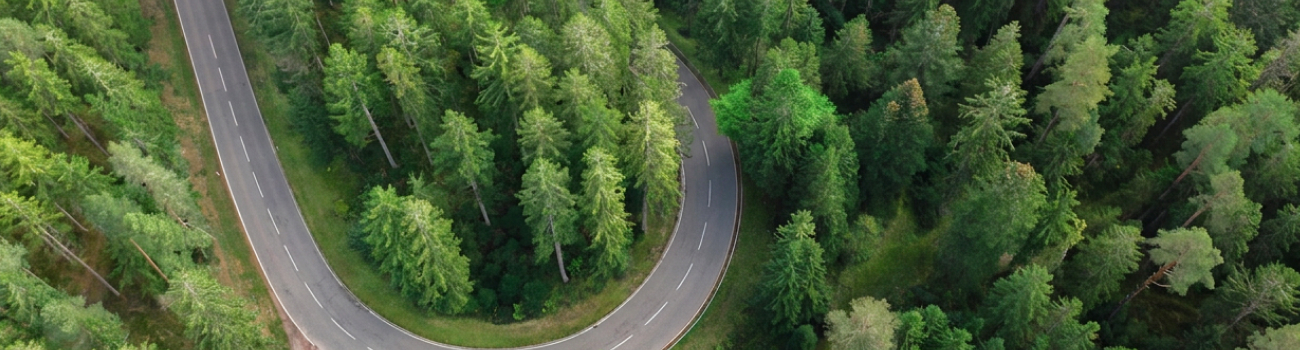 kurvige Straße durch Tannenwald von oben.